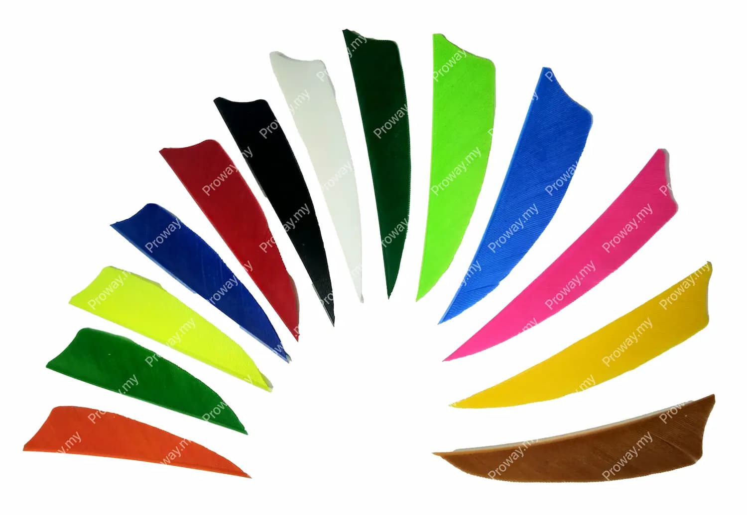 Shield Turkey Feather